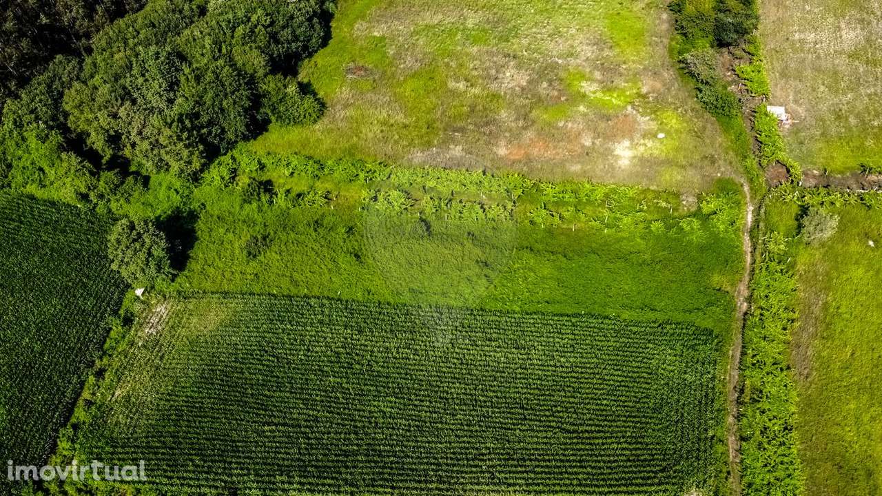 Terreno  para venda - Grande imagem: 4/11