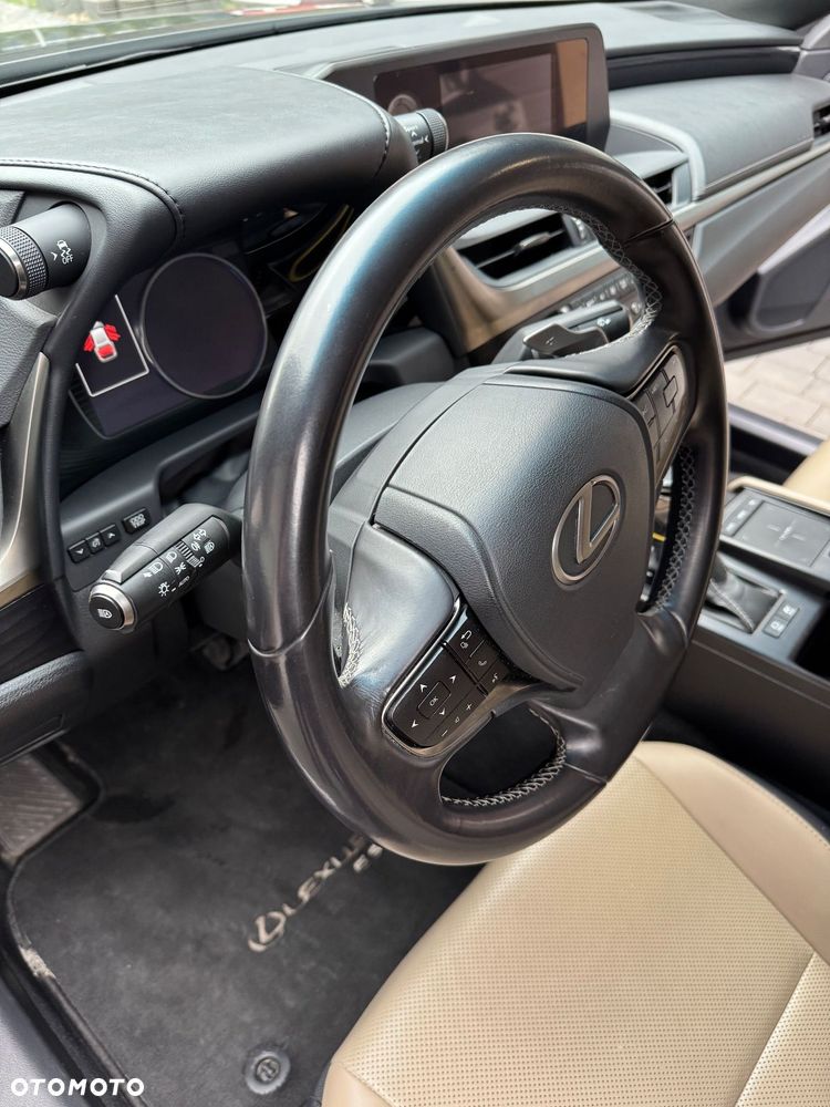 Lexus ES 300h Elegance - 12