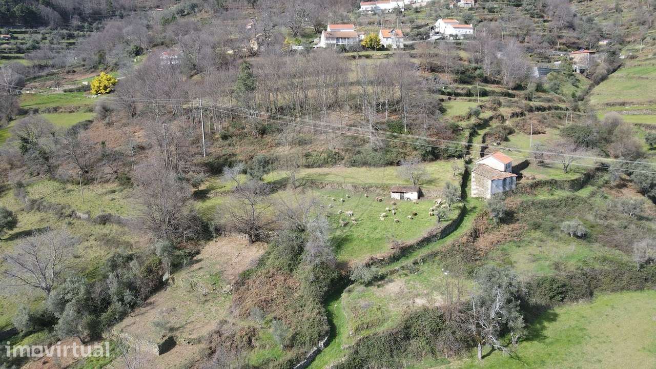 Quinta T4 para venda - Grande imagem: 4/4
