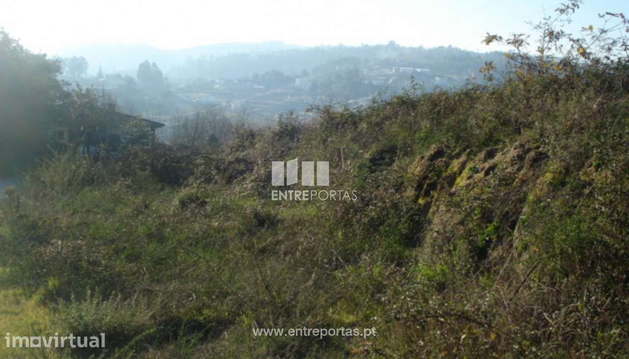 Venda Terreno, Sobretâmega, Marco de Canaveses - Grande imagem: 3/8