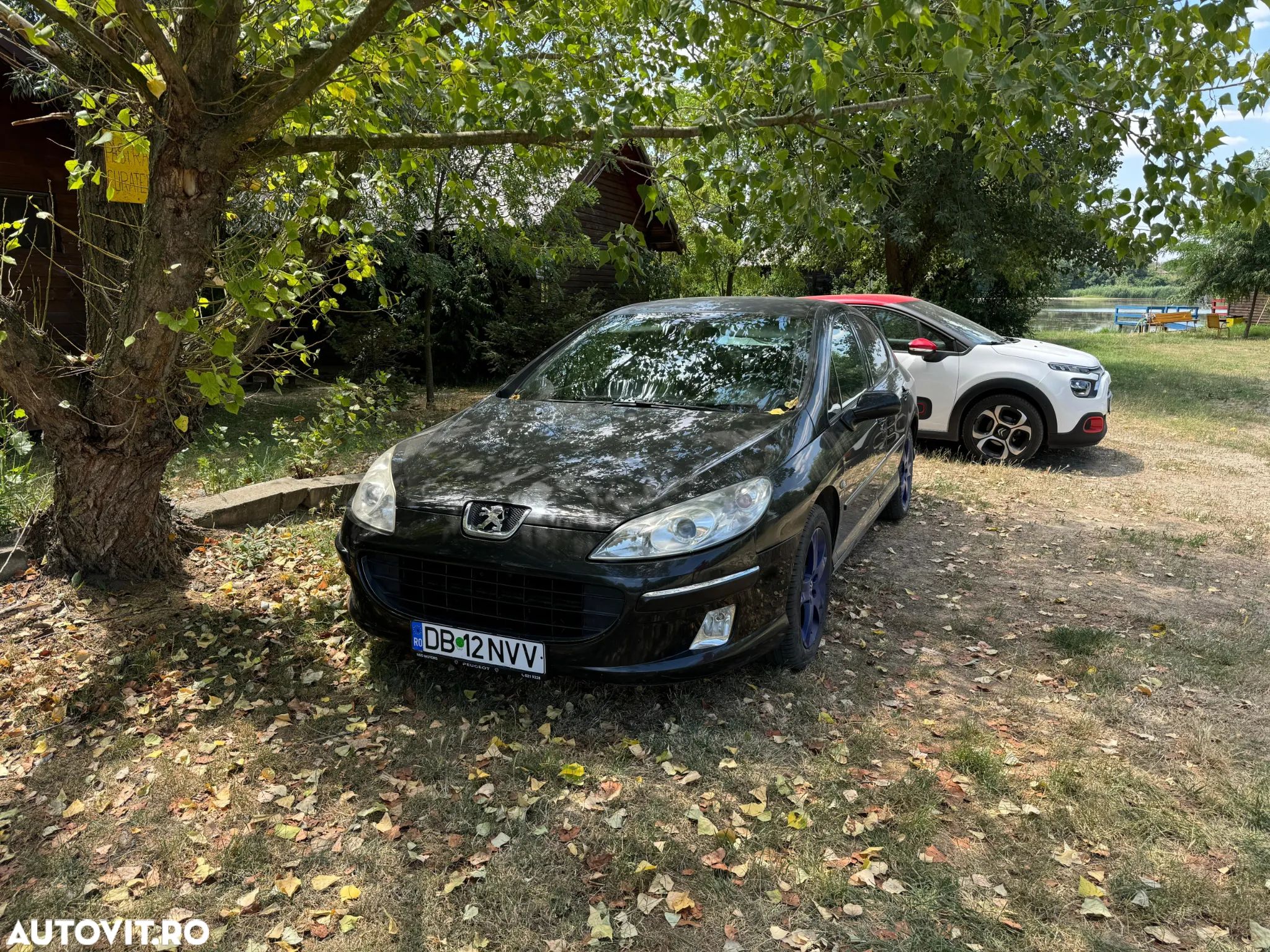 Peugeot 407 - 1
