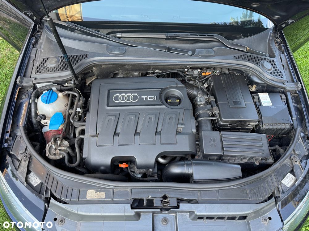 Audi A3 3-drzwiowe - 36