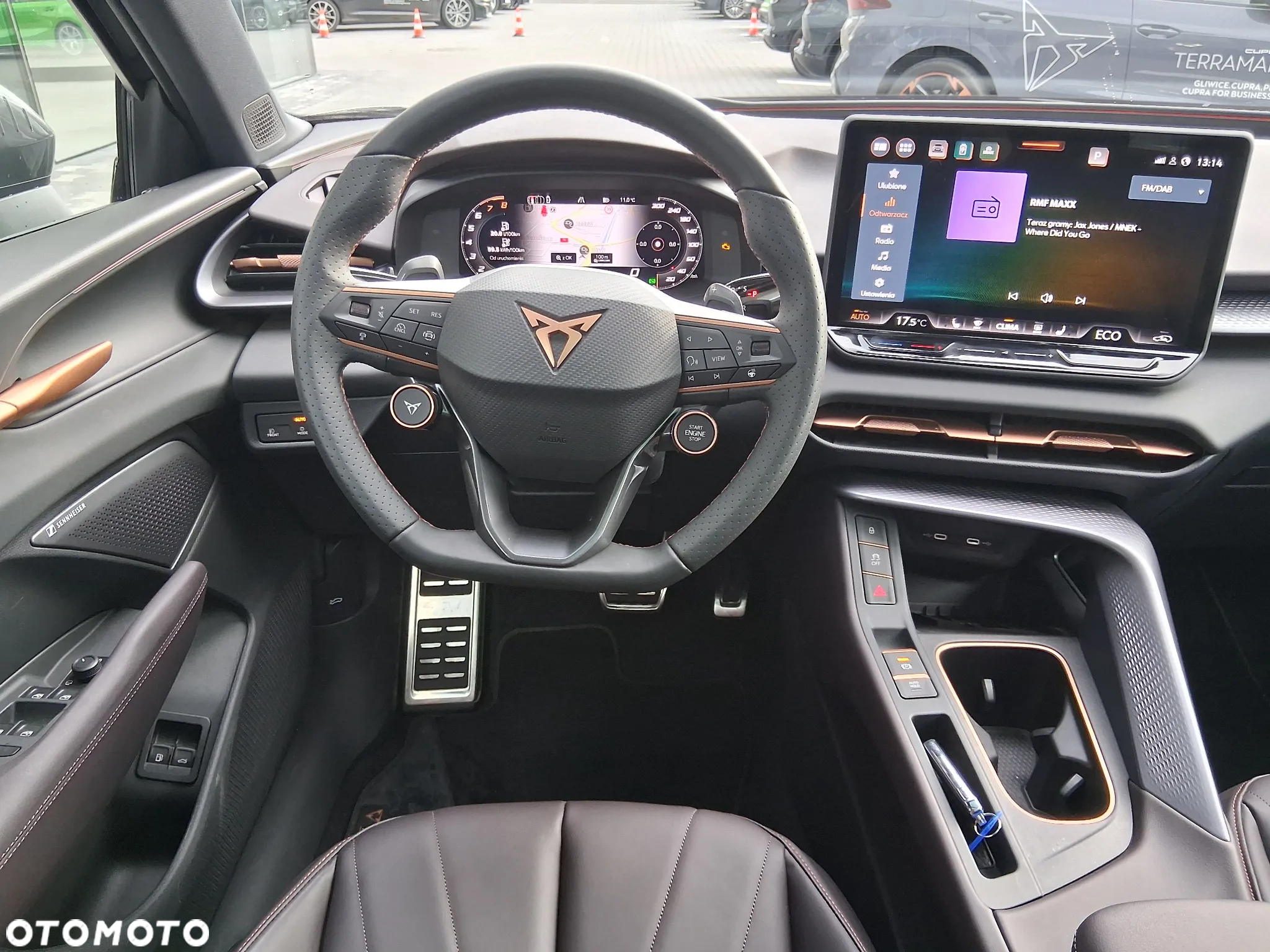 Cupra Terramar - 16