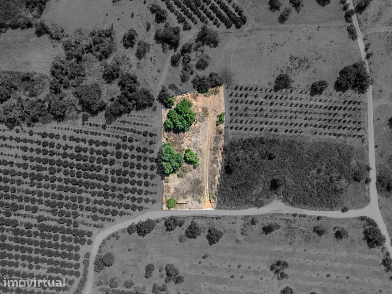 Terreno Rústico para Agricultura e Lazer Rural - Tufos, Silves - Grande imagem: 3/12