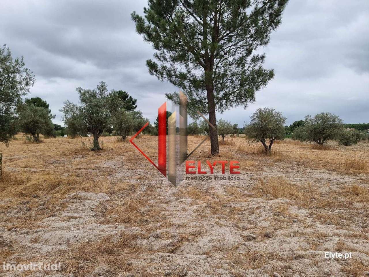 Terreno urbanizável na Branca – Coruche - Grande imagem: 5/23