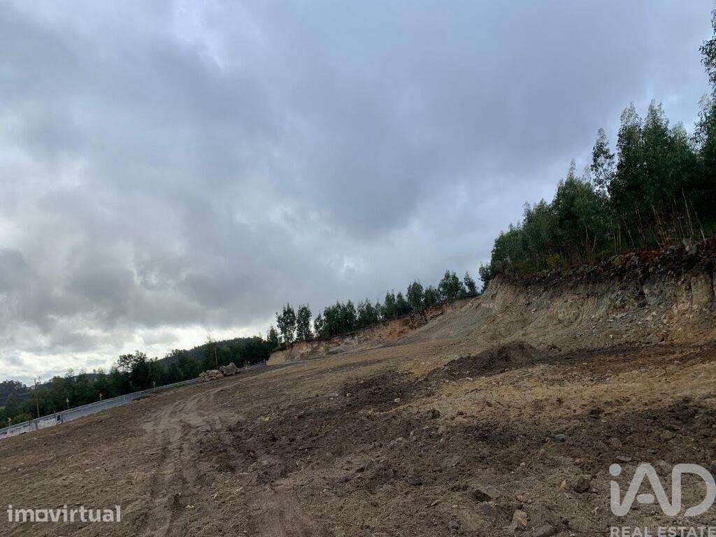 Terreno em Cristelos, Boim e Ordem - Grande imagem: 4/4