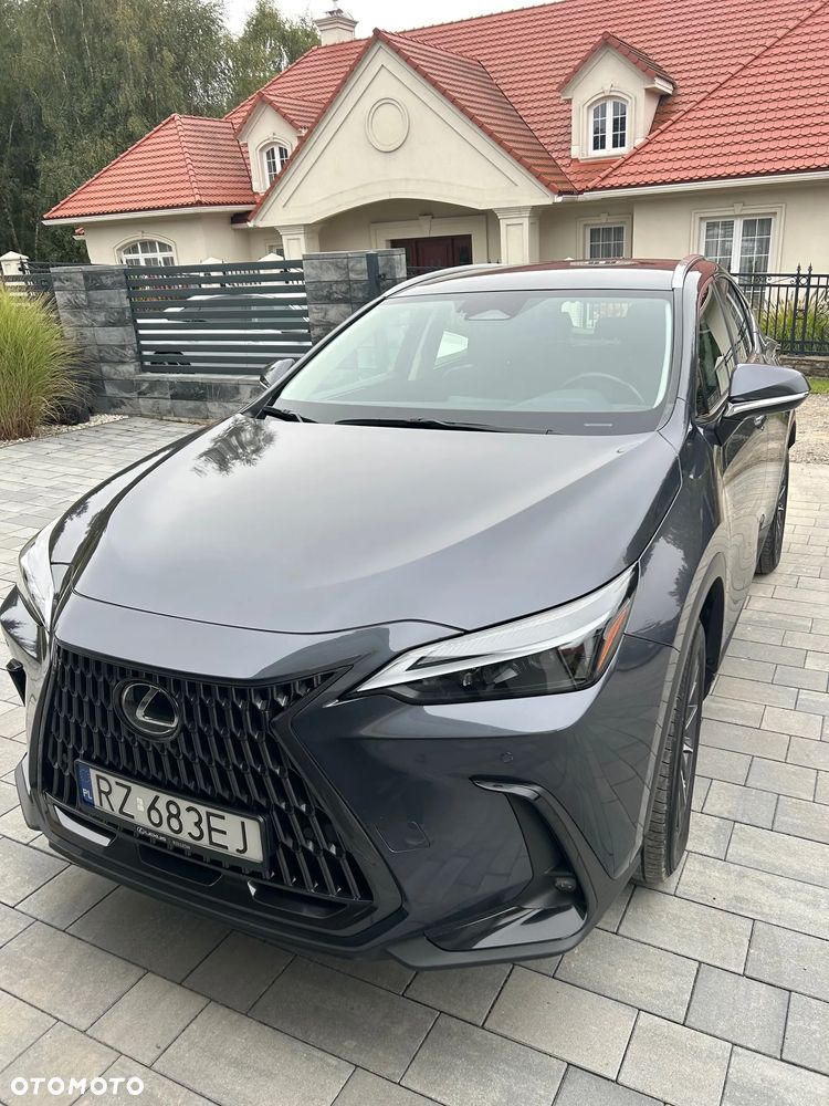 Lexus NX 350h Business AWD - 2