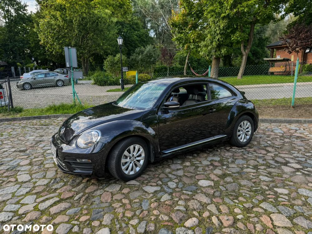 Volkswagen Beetle - 1