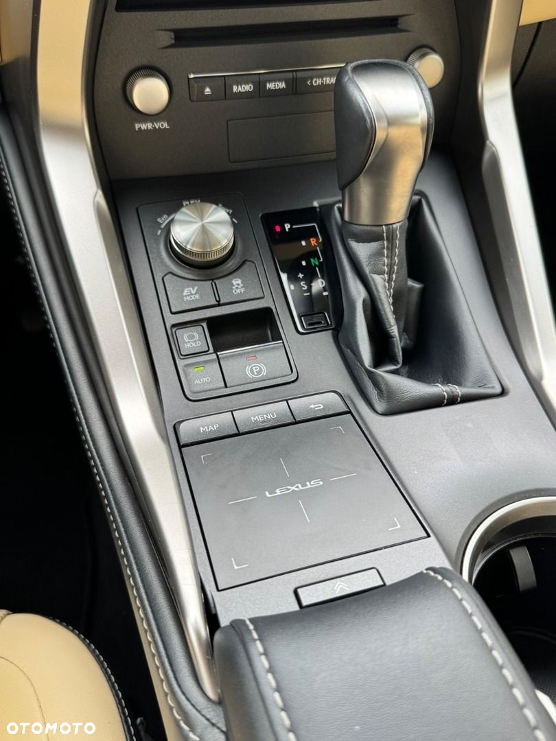 Lexus NX - 15
