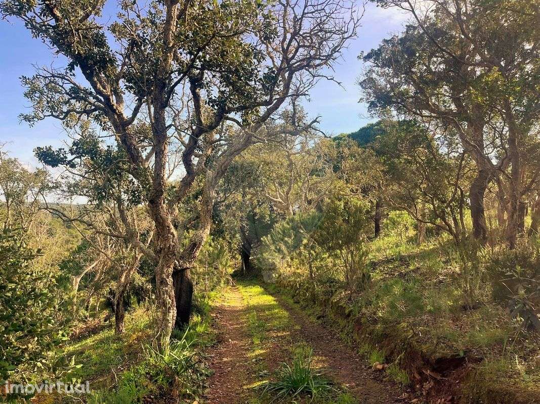 Terreno  para venda - Grande imagem: 5/8