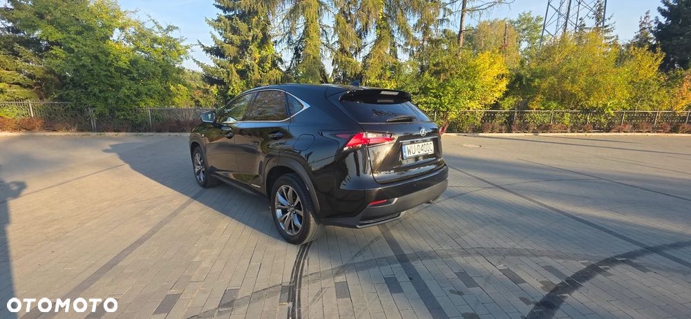 Lexus NX 300h F Sport AWD - 19