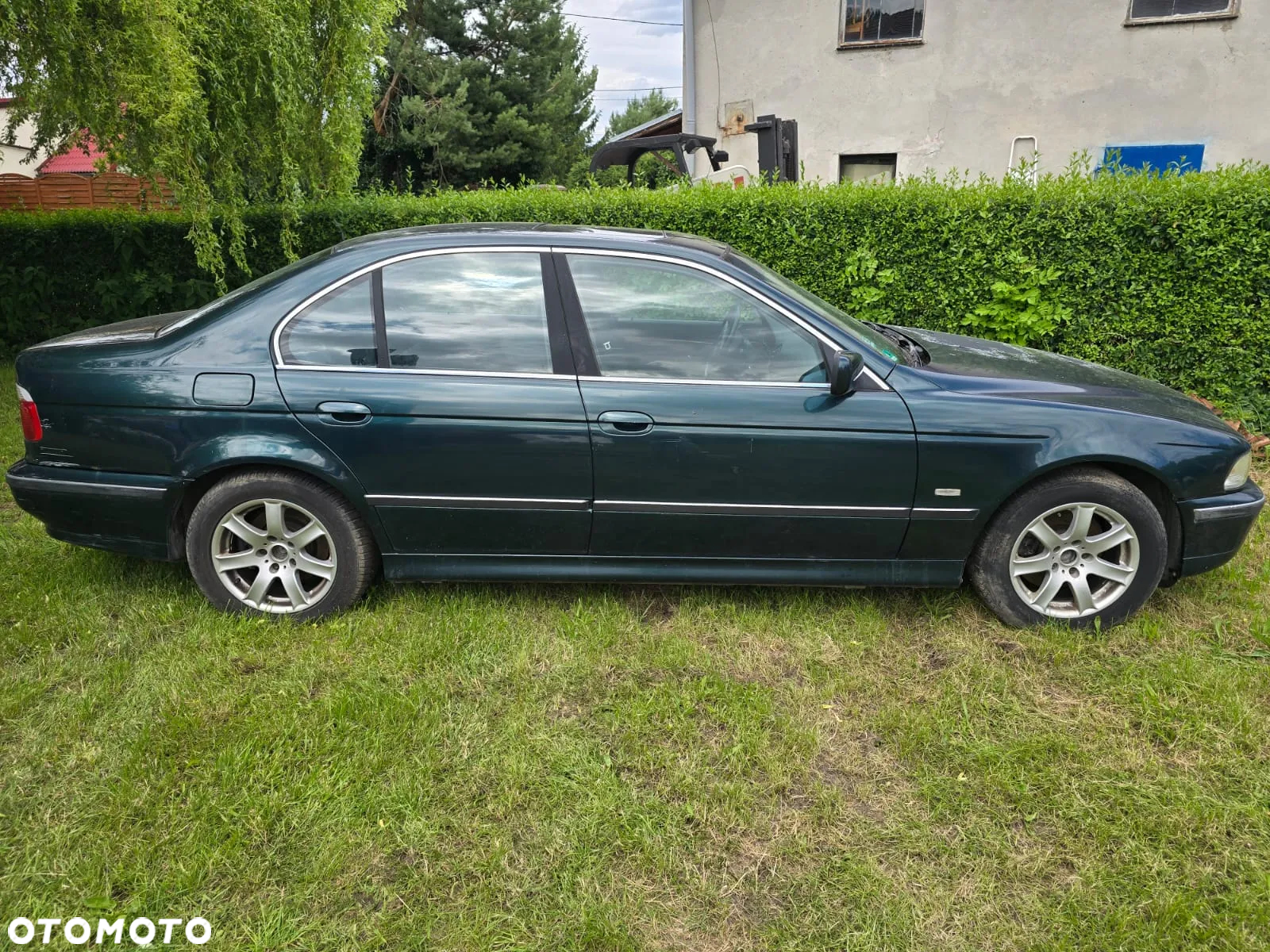 BMW Seria 5 - 2