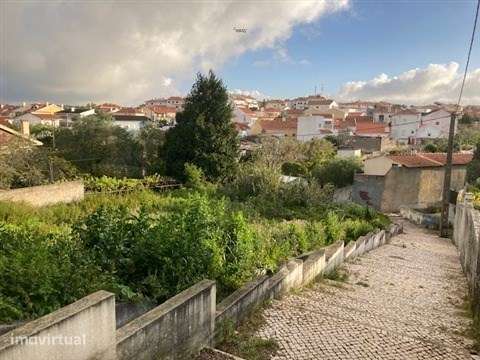 Terreno Urbano  Venda em Sintra (Santa Maria e São Miguel, São Martinh - Grande imagem: 4/11