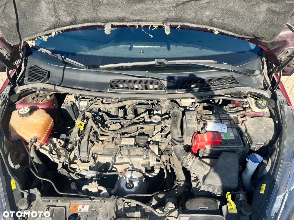Ford Fiesta 1.0 Champions Edition - 14