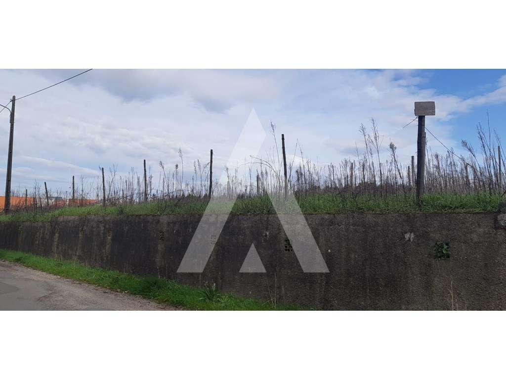 Terreno para construção - Grande imagem: 3/7