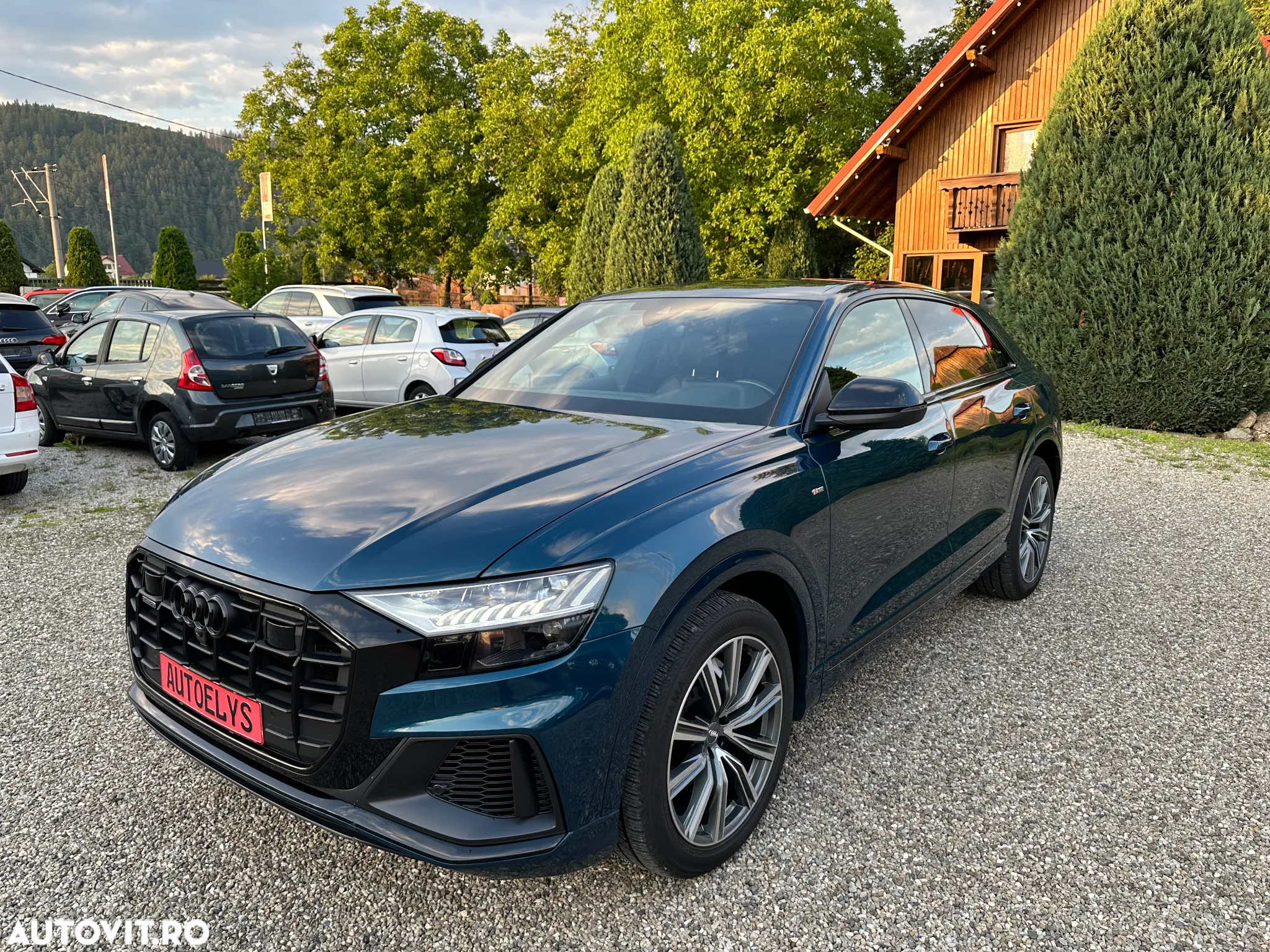 Audi Q8 3.0 50 TDI quattro Tiptronic MHEV - 14