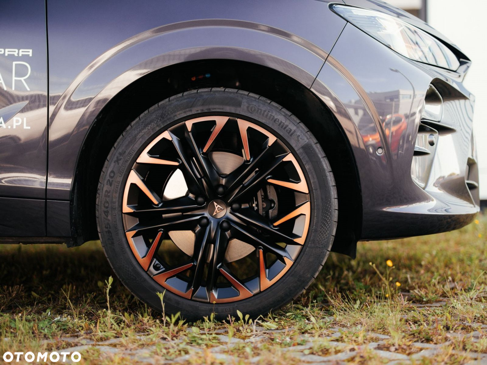 Cupra Terramar - 6