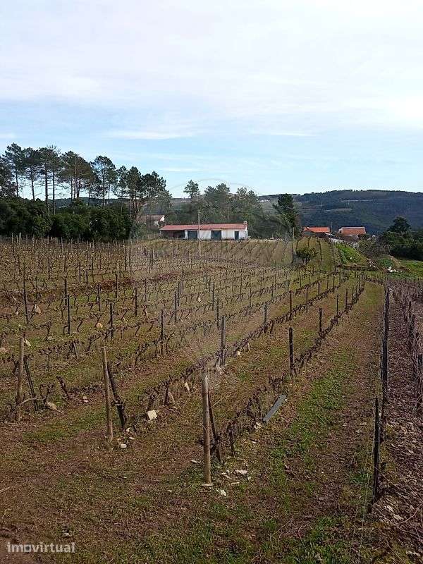 Terreno  para venda - Grande imagem: 5/11