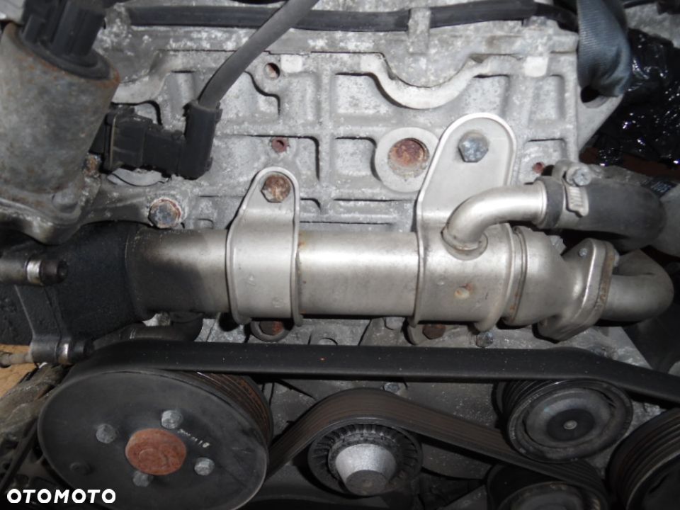 Ssang Yong Rexton 2.7 XDI 10r Chłodnica Spalin - 1
