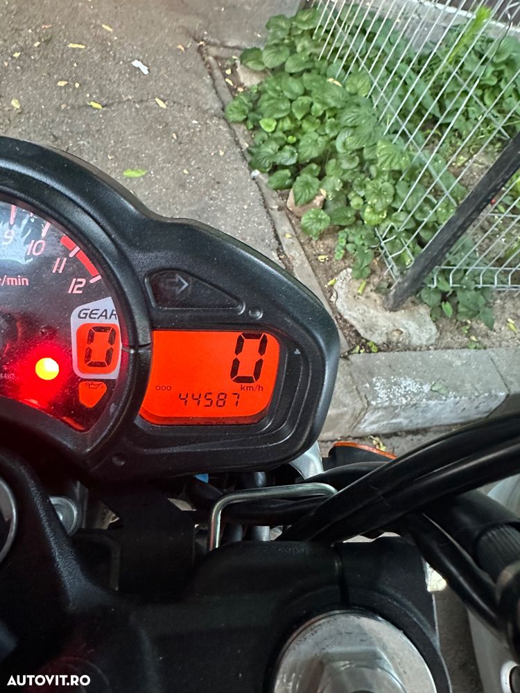 Suzuki Gladius - 9