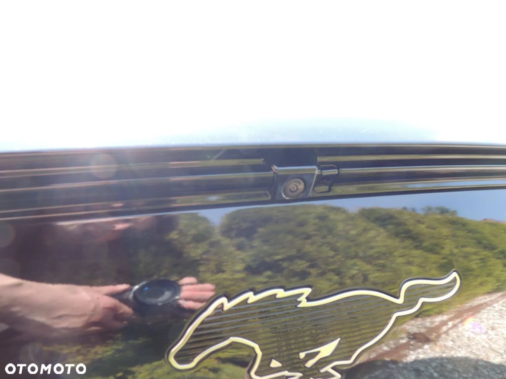 Ford Mustang Mach-E - 24