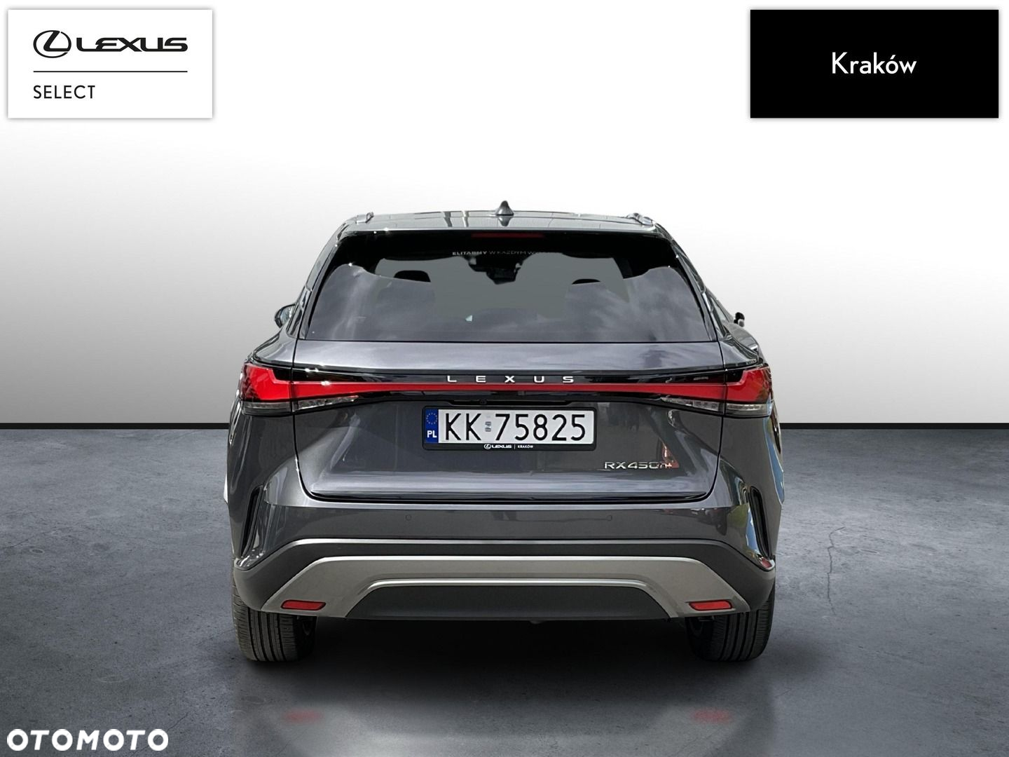 Lexus RX - 4