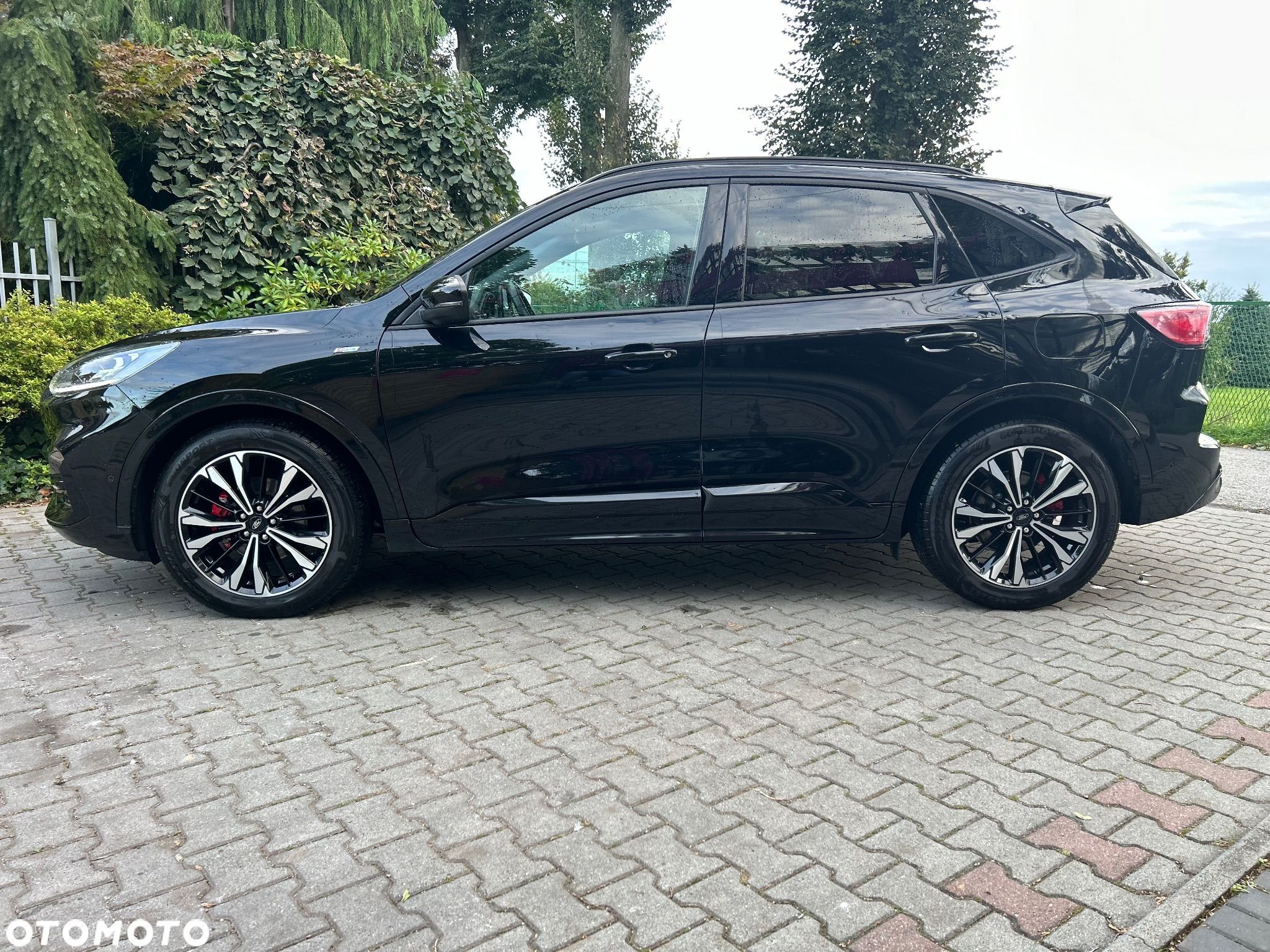 Ford Kuga 2.0 EcoBlue Hybrid ST-LINE X - 1