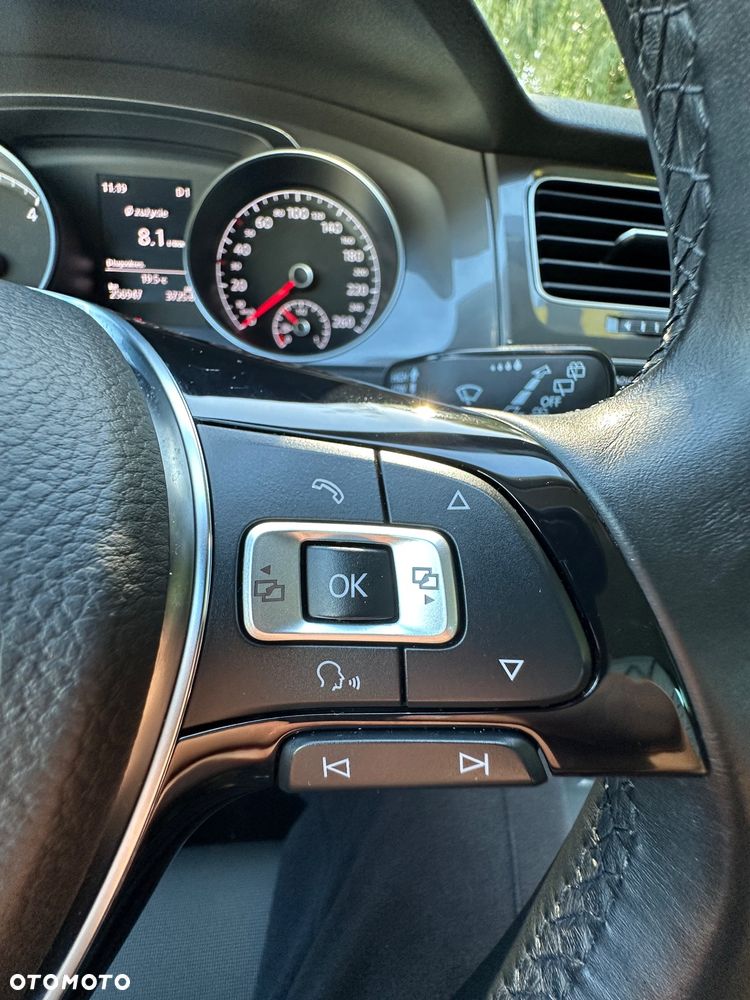Volkswagen Golf Alltrack 2.0 TDI 4Motion (BMT) DSG - 27