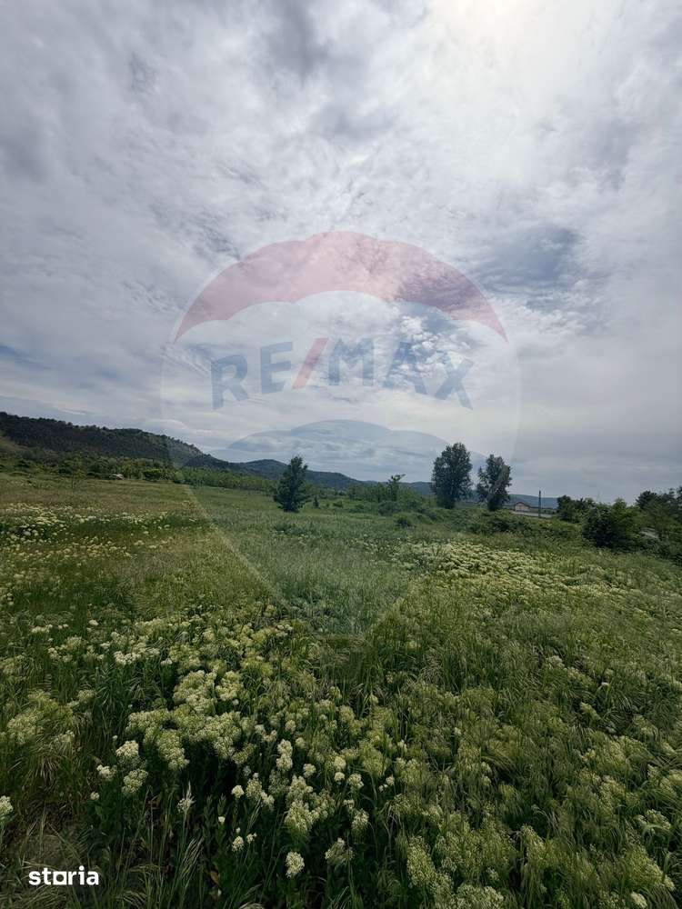 Teren 11,000mp Hinova / DN DN56A - Imagine principală: 2/4