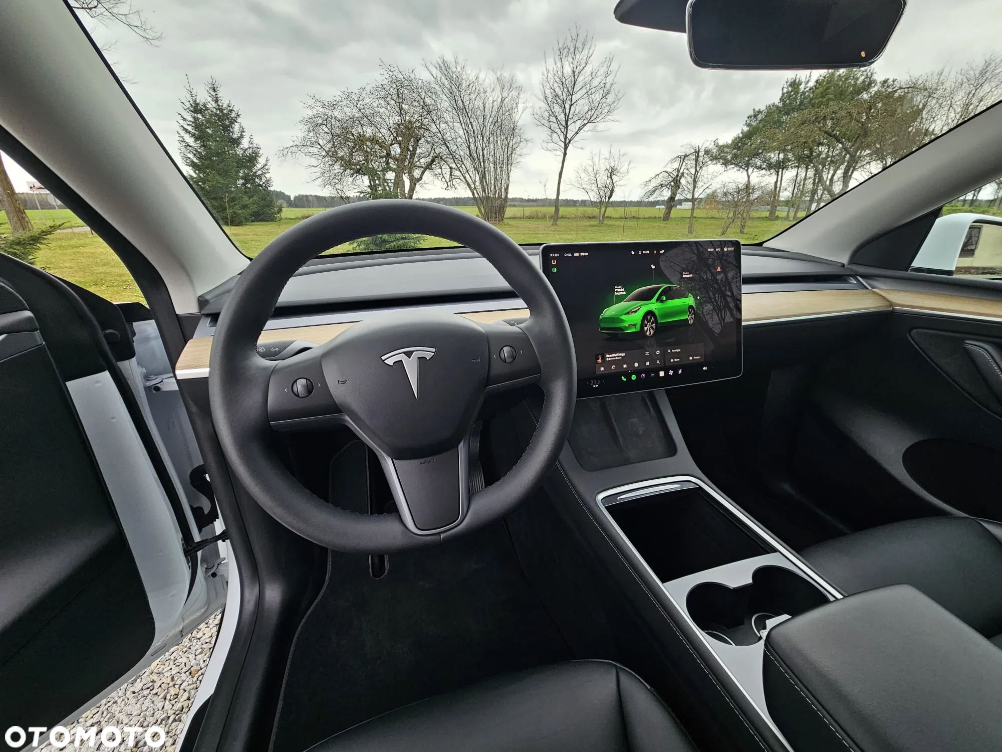 Tesla Y Model RWD - 15