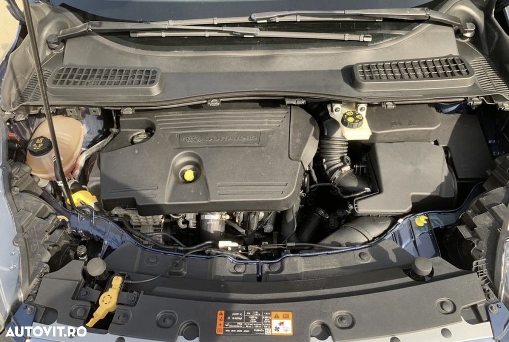 Ford Kuga 2.0 EcoBlue A8 AWD Trend - 6