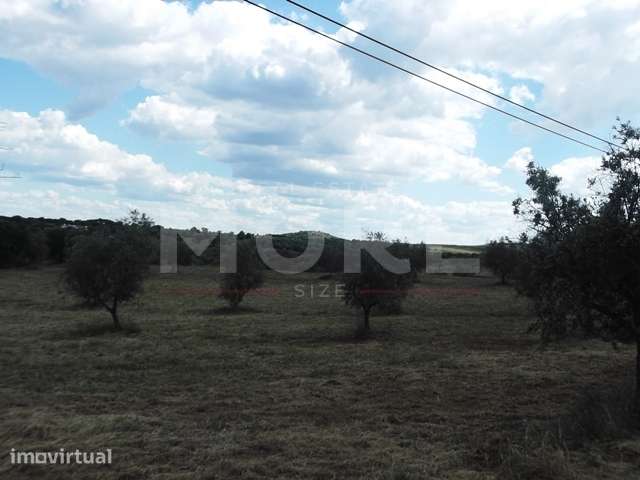 Terreno - Évora/Redondo - Grande imagem: 4/6