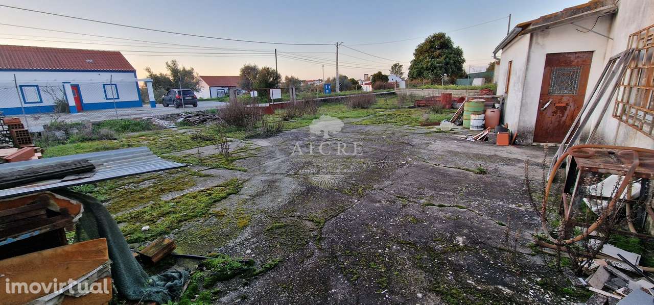 Foros do Arrão - Grande imagem: 4/9