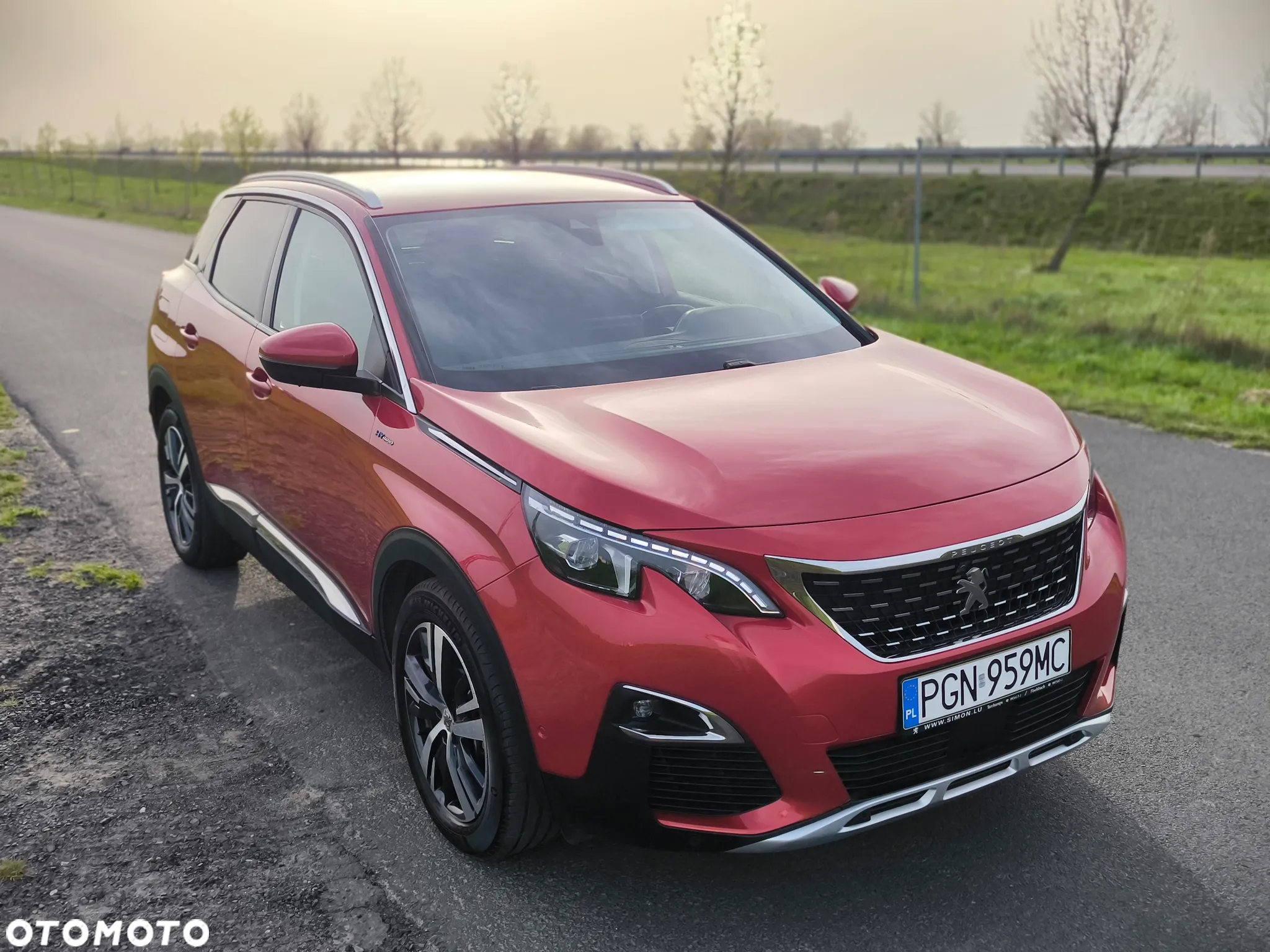 Peugeot 3008 - 29