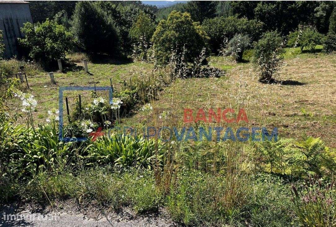 Terreno Rustico em Vila Nova de Poiares - Grande imagem: 2/11
