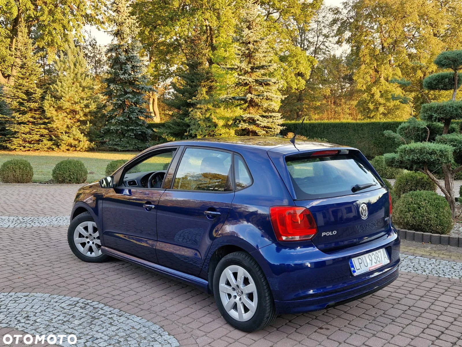 Volkswagen Polo 1.2 TDI Blue Motion - 13