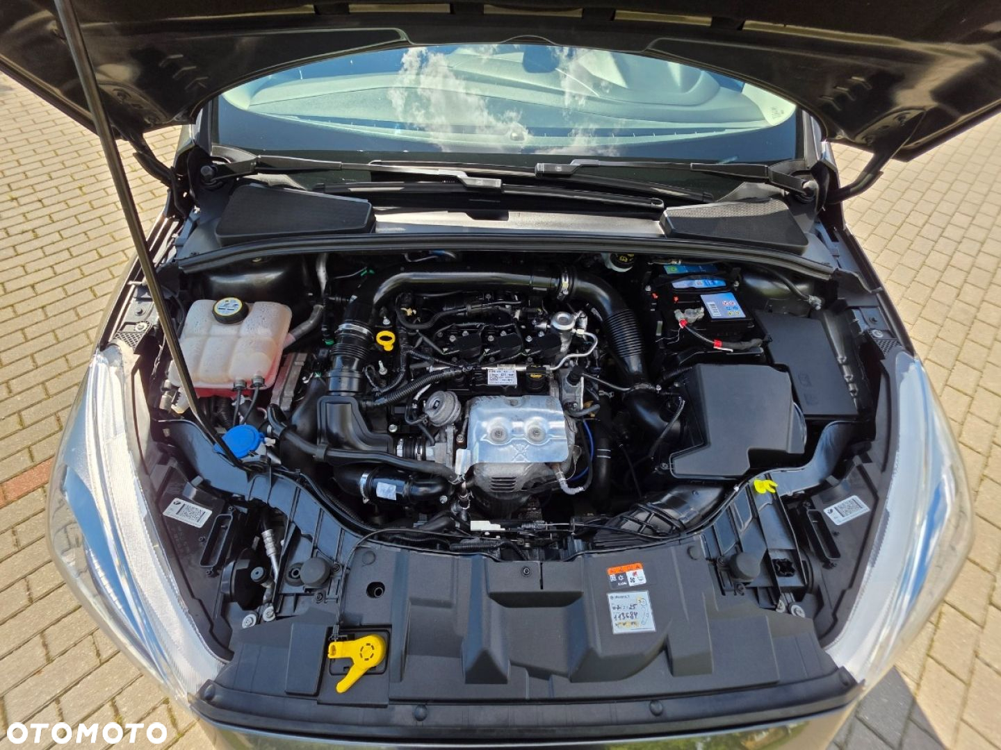 Ford Focus - 28