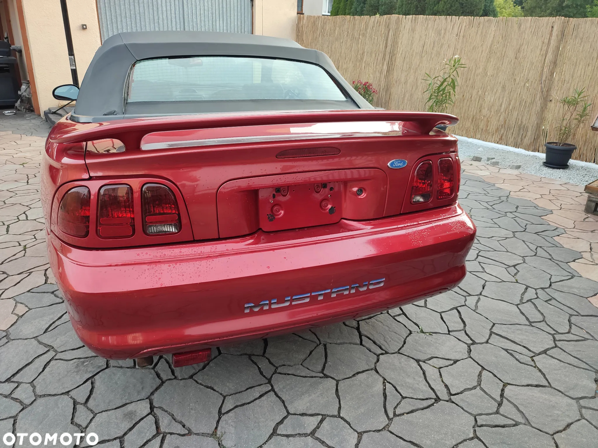 Ford Mustang - 6