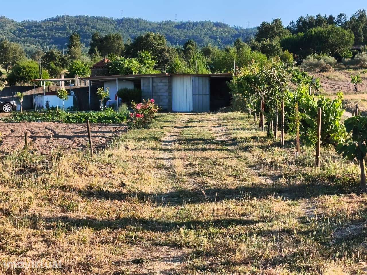 Terreno rustico em Peraboa - Grande imagem: 2/16