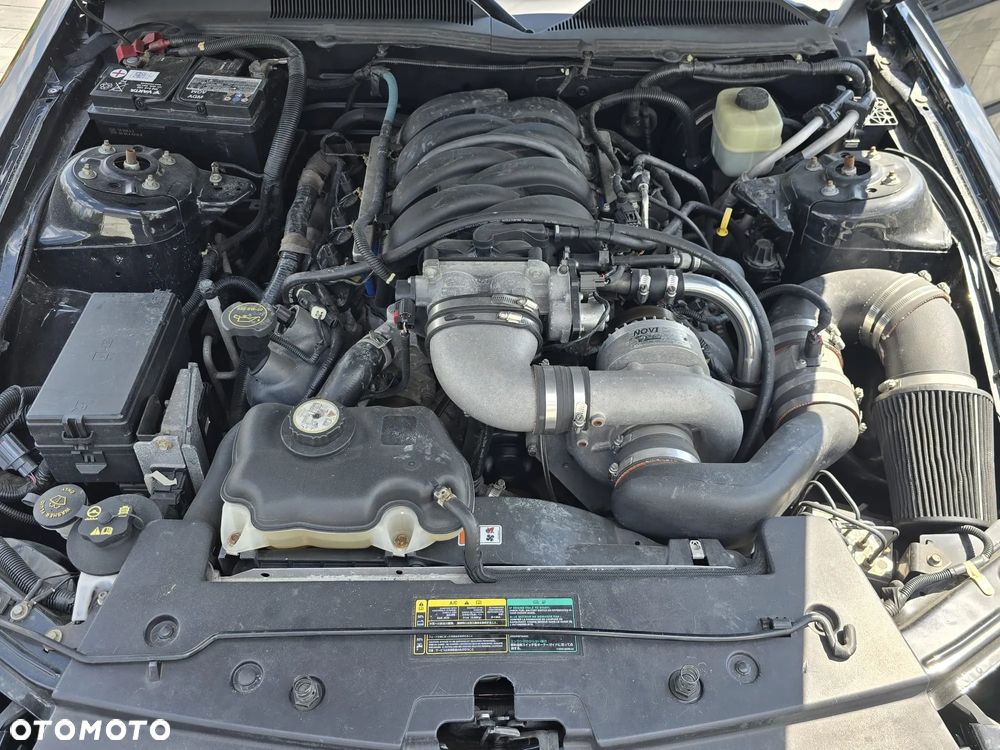 Ford Mustang 4.6 V8 Cobra - 24