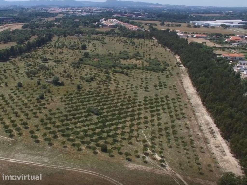Investimento Turístico, Herdade em Setúbal - Grande imagem: 4/24