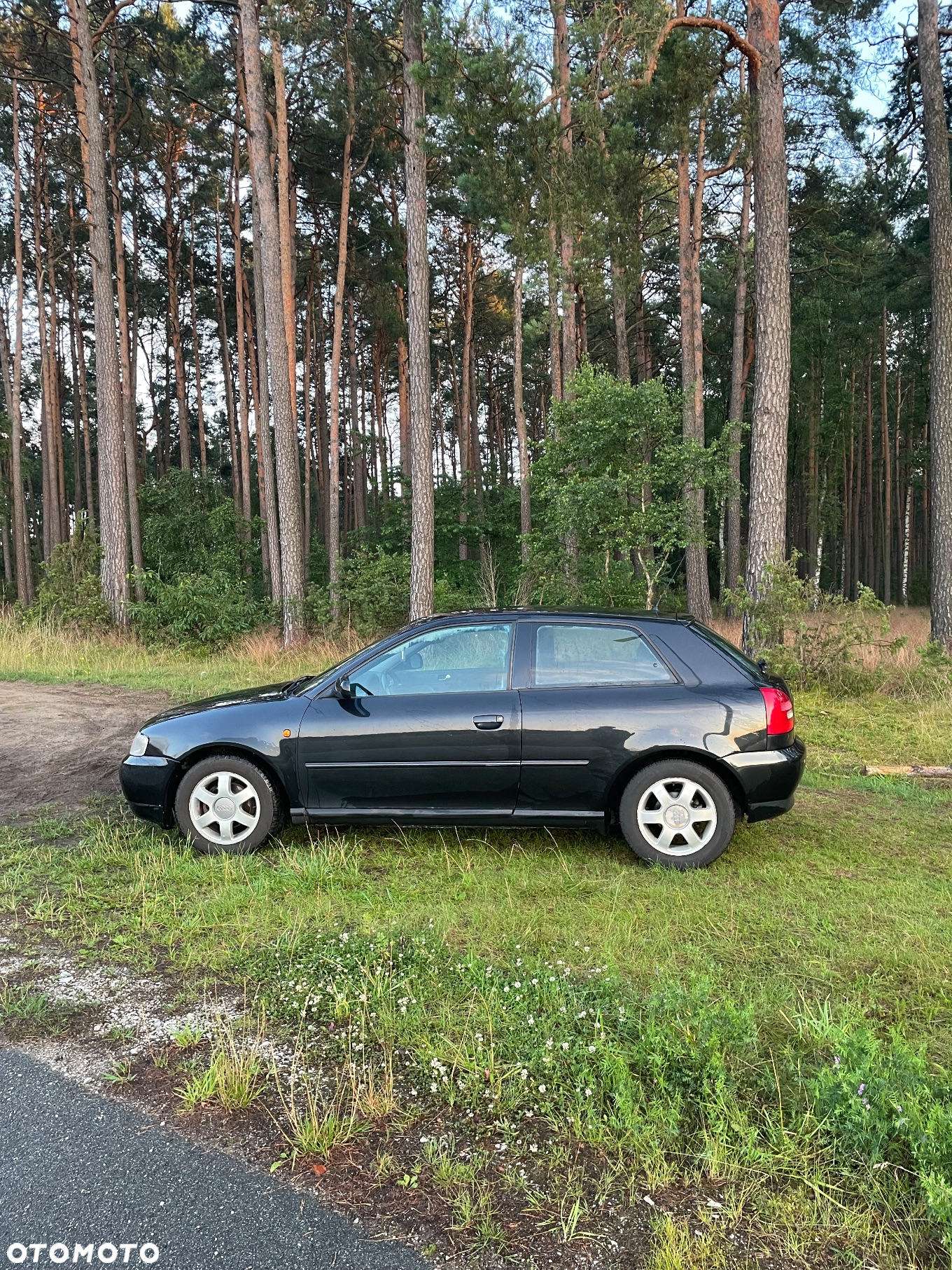Audi A3 - 8