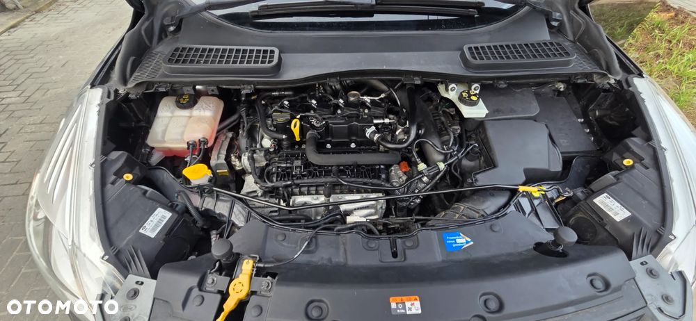 Ford Kuga 1.5 EcoBoost 2x4 Titanium - 39