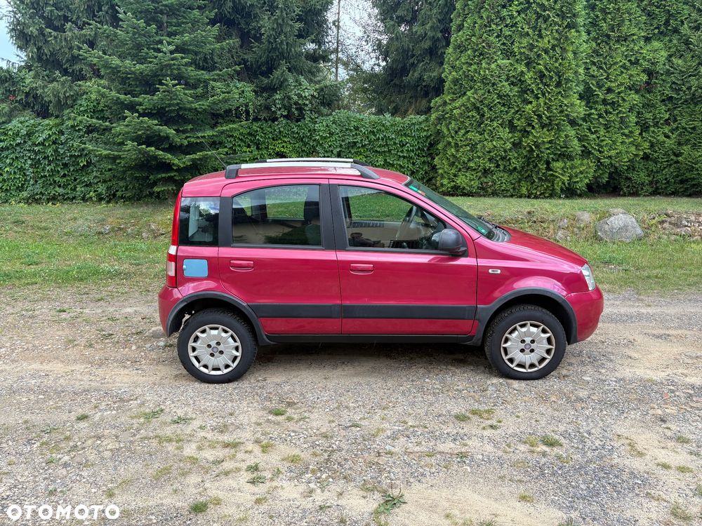 Fiat Panda 1.2 4x4 Classic - 4