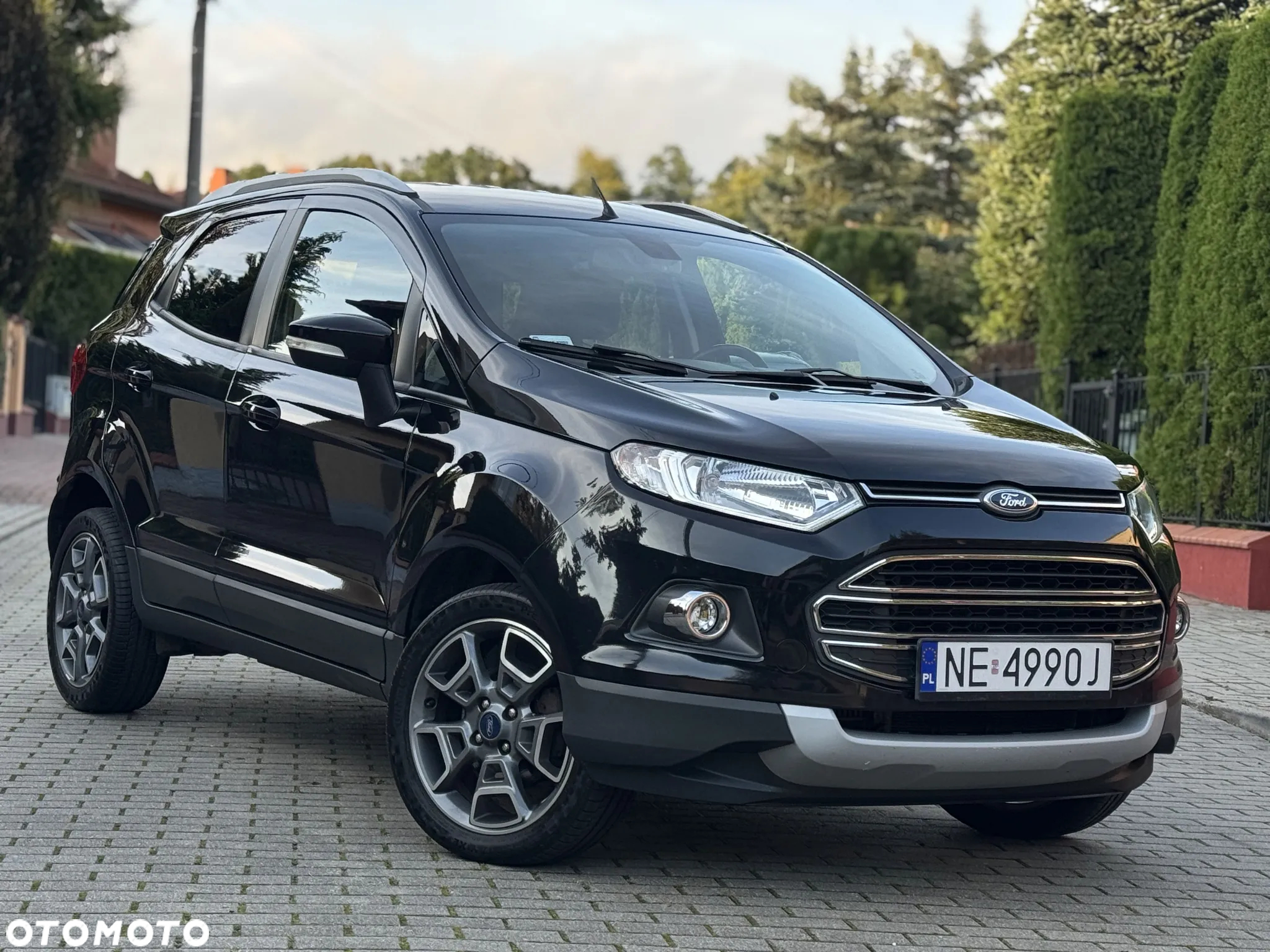 Ford EcoSport - 26