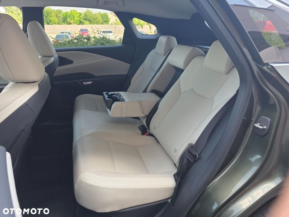 Lexus RX - 18