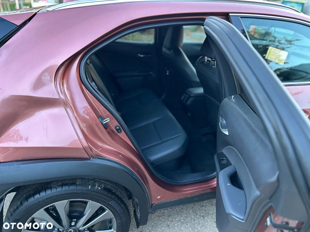 Lexus UX 300h F Sport Design - 17