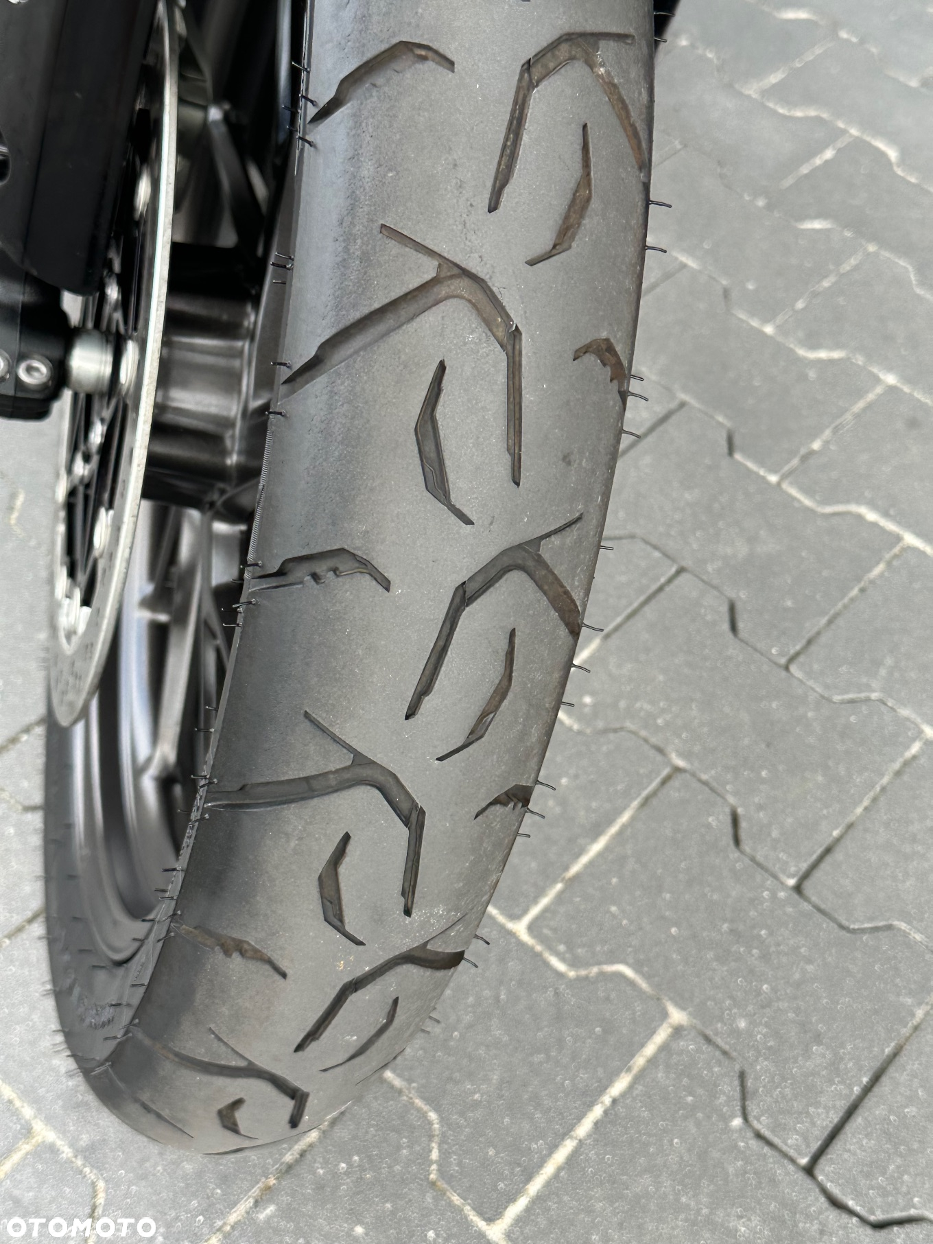 Triumph Tiger - 21