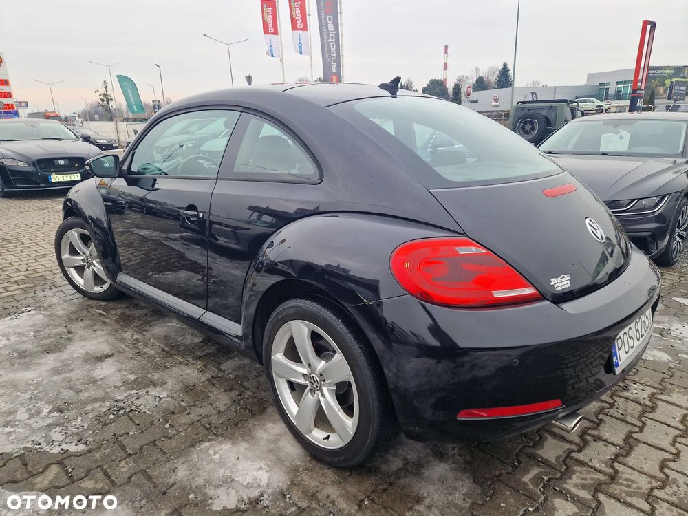 Volkswagen Beetle - 5