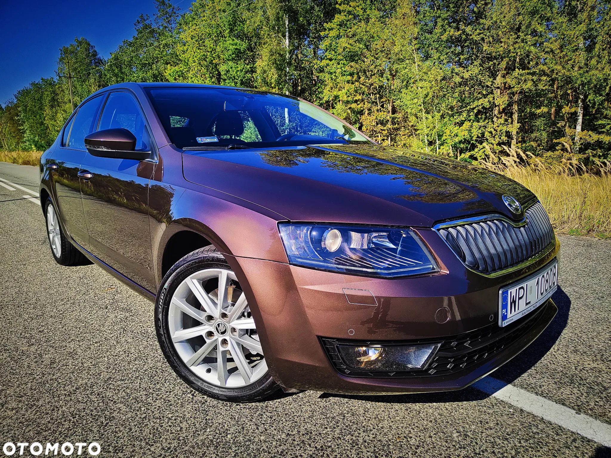 Skoda Octavia 1.4 TSI Elegance - 2